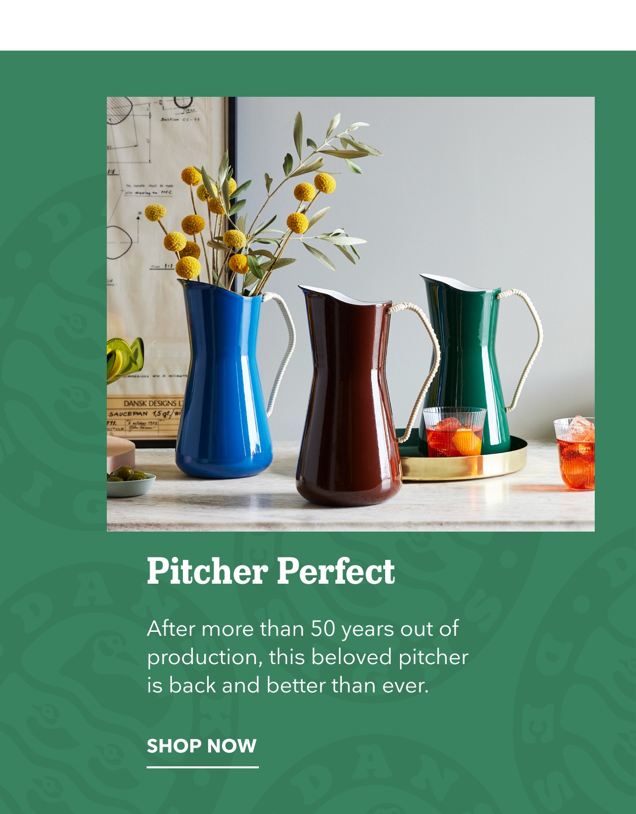 Shop The Pitcher